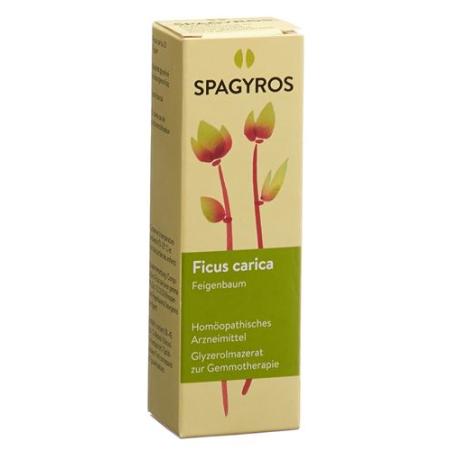 Spagyros Gemmo Ficus carica Glyc Maz D 1 30 ml - PrimeCare Global