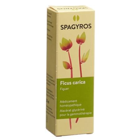 Spagyros Gemmo Ficus carica Glyc Maz D 1 30 ml - PrimeCare Global