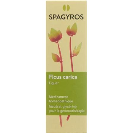 Spagyros Gemmo Ficus carica Glyc Maz D 1 30 ml - PrimeCare Global