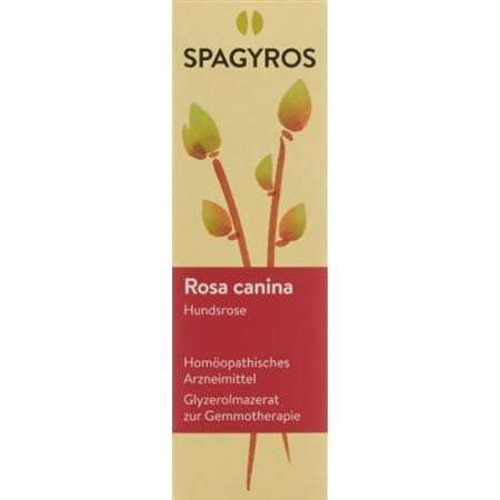 Spagyros Gemmo Rosa canina Glyc Maz D 1 30 ml - PrimeCare Global