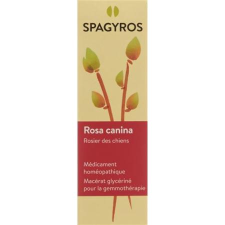 Spagyros Gemmo Rosa canina Glyc Maz D 1 30 ml - PrimeCare Global