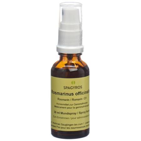 Spagyros Gemmo Rosmarinus officinalis Glyc Maz D 1 30 ml - PrimeCare Global