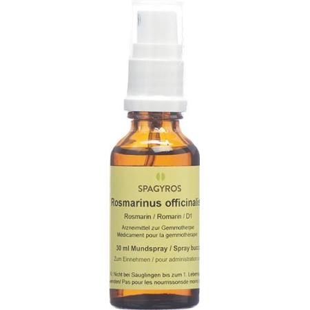 Spagyros Gemmo Rosmarinus officinalis Glyc Maz D 1 30 ml - PrimeCare Global