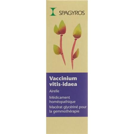Spagyros Gemmo Vaccinium vitis-idaea Glyc Maz D 1 30 ml - PrimeCare Global