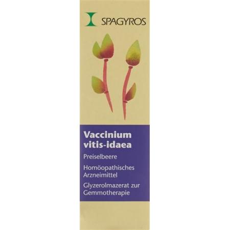 Spagyros Gemmo Vaccinium vitis-idaea Glyc Maz D 1 30 ml - PrimeCare Global