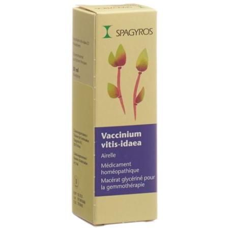 Spagyros Gemmo Vaccinium vitis-idaea Glyc Maz D 1 30 ml - PrimeCare Global