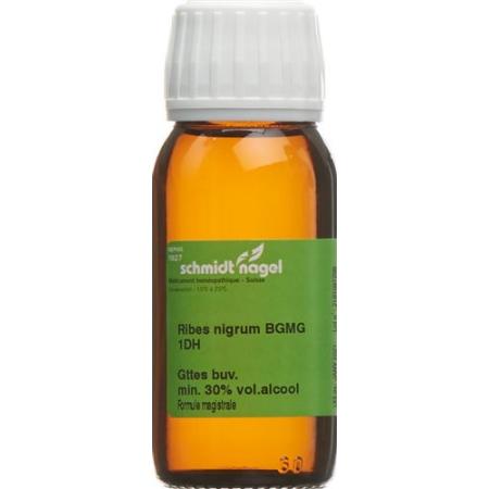 SN Ribes nigrum BG Glyc Maz DH 1 60ml - PrimeCare Global