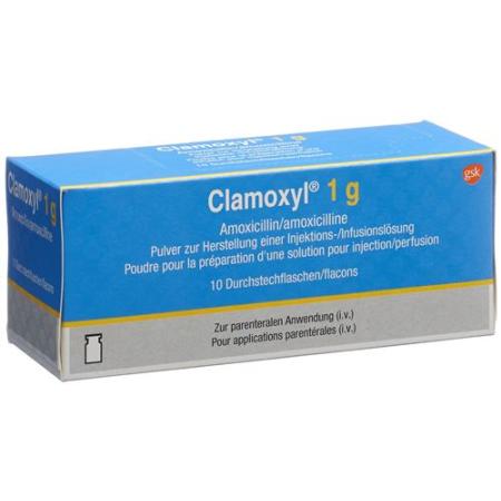 Clamoxyl drying sub 1 g permeate 10 pcs - PrimeCare Global