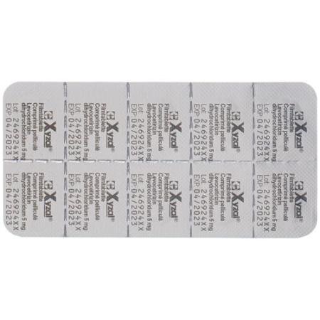 Xyzal film tabl 5 mg divisible 50 pcs - PrimeCare Global