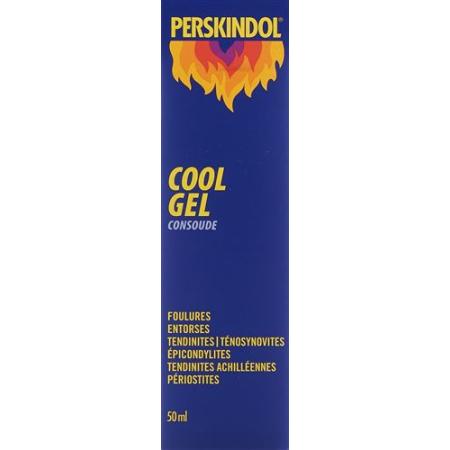 Perskindol Cool Wallwurz Gel Tb 50 ml - PrimeCare Global