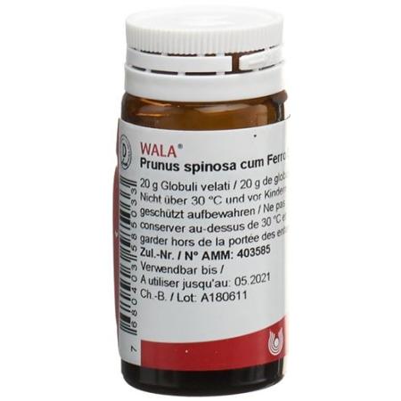 Wala Prunus spinosa ferm c Ferro Glob D 3 20 g - PrimeCare Global