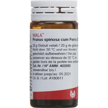 Wala Prunus spinosa ferm c Ferro Glob D 3 20 g - PrimeCare Global