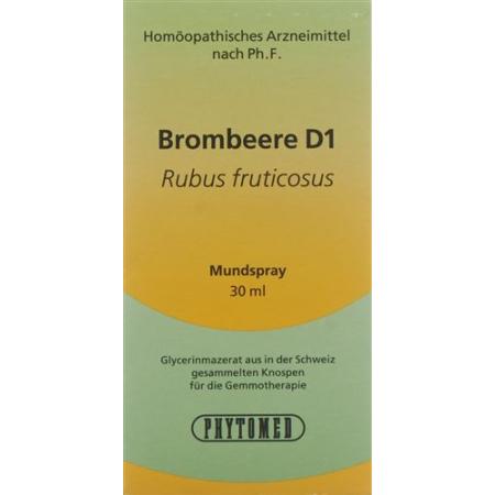 PHYTOMED GEMMO blackberry liq D 1 spray 30 ml - PrimeCare Global