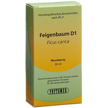 PHYTOMED GEMMO Fig Tree liq D 1 Spr 30 ml - PrimeCare Global