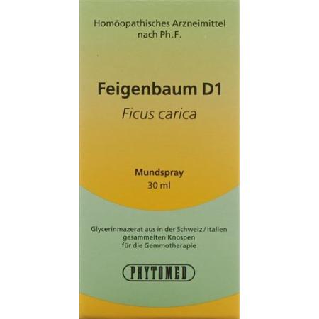 PHYTOMED GEMMO Fig Tree liq D 1 Spr 30 ml - PrimeCare Global