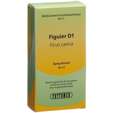 PHYTOMED GEMMO Fig Tree liq D 1 Spr 30 ml - PrimeCare Global