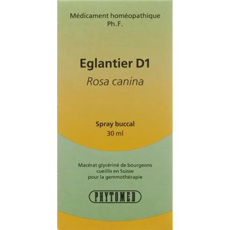 PHYTOMED GEMMO rosehip liq D 1 Spr 30 ml - PrimeCare Global