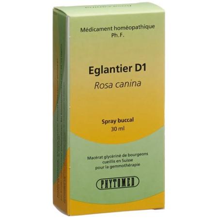 PHYTOMED GEMMO rosehip liq D 1 Spr 30 ml - PrimeCare Global
