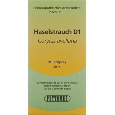 PHYTOMED GEMMO HASELSTRAUC - PrimeCare Global