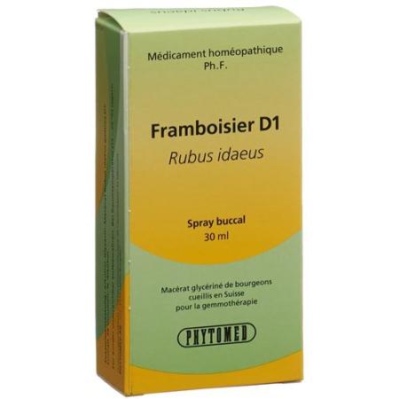 PHYTOMED GEMMO Raspberry liq D 1 Spr 30 ml - PrimeCare Global