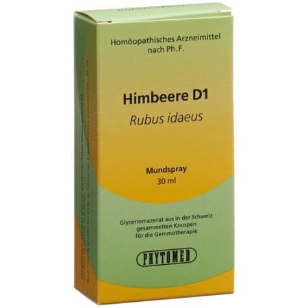 PHYTOMED GEMMO Raspberry liq D 1 Spr 30 ml - PrimeCare Global