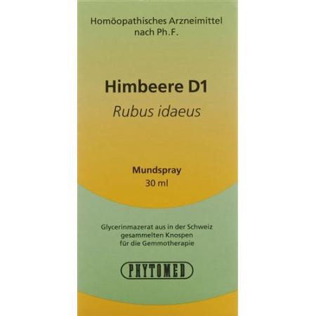 PHYTOMED GEMMO Raspberry liq D 1 Spr 30 ml - PrimeCare Global