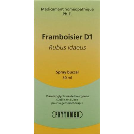 PHYTOMED GEMMO Raspberry liq D 1 Spr 30 ml - PrimeCare Global