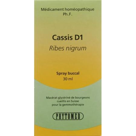 PHYTOMED GEMMO Blackcurrant liquid D 1 spray 30 ml - PrimeCare Global