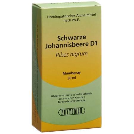 PHYTOMED GEMMO Blackcurrant liquid D 1 spray 30 ml - PrimeCare Global
