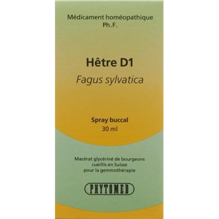 PHYTOMED GEMMO Fagus sylvatica liq D 1 - PrimeCare Global