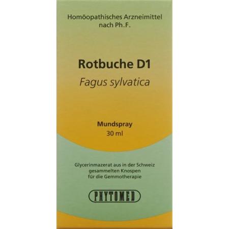 PHYTOMED GEMMO Fagus sylvatica liq D 1 - PrimeCare Global