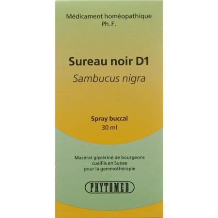 PHYTOMED GEMMO Black Elderberry liq D 1 Spr 30 ml - PrimeCare Global