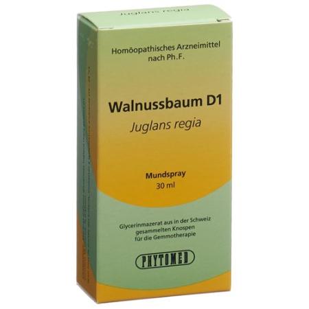 PHYTOMED GEMMO walnut tree liq D 1 Spr 30 ml - PrimeCare Global