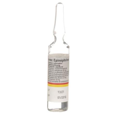 Rapidocaine 1% + Epinephrine 5mcg/ml Inj Loes 10amp 5ml - PrimeCare Global