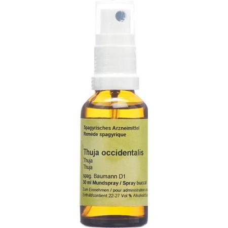 SPAGYROS SPAGYR Thuja occidentalis Spr 30 ml - PrimeCare Global