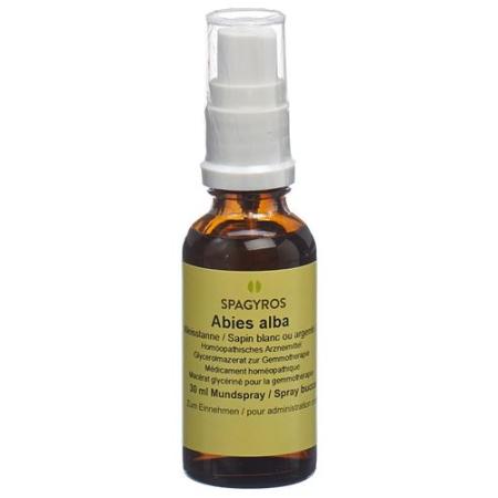 Spagyros Gemmo Abies alba Glyc Maz D 1 30 ml - PrimeCare Global