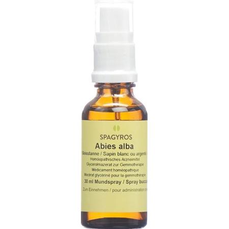 Spagyros Gemmo Abies alba Glyc Maz D 1 30 ml - PrimeCare Global