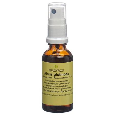 Spagyros Gemmo Alnus glutinosa Glyc Maz D 1 30 ml - PrimeCare Global