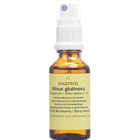 Spagyros Gemmo Alnus glutinosa Glyc Maz D 1 30 ml - PrimeCare Global