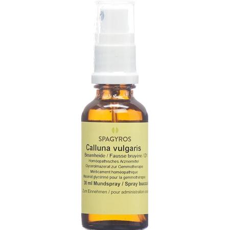 Spagyros Gemmo Calluna vulgaris Glyc Maz D 1 30 ml - PrimeCare Global