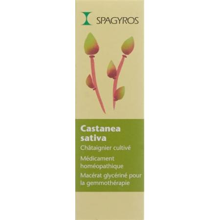 Spagyros Gemmo Castanea sativa Glyc Maz D 1 30 ml - PrimeCare Global