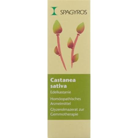 Spagyros Gemmo Castanea sativa Glyc Maz D 1 30 ml - PrimeCare Global