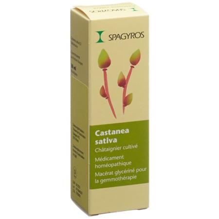 Spagyros Gemmo Castanea sativa Glyc Maz D 1 30 ml - PrimeCare Global