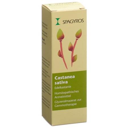 Spagyros Gemmo Castanea sativa Glyc Maz D 1 30 ml - PrimeCare Global