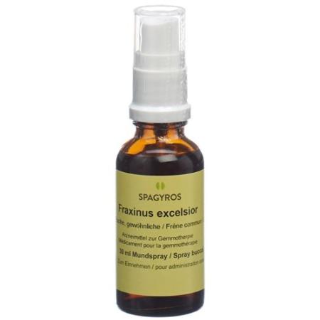 Spagyros Gemmo Fraxinus excelsior Glyc Maz D 1 30 ml - PrimeCare Global