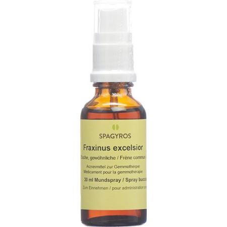 Spagyros Gemmo Fraxinus excelsior Glyc Maz D 1 30 ml - PrimeCare Global