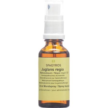 Spagyros Gemmo Juglans regia Glyc Maz D 1 30 ml - PrimeCare Global