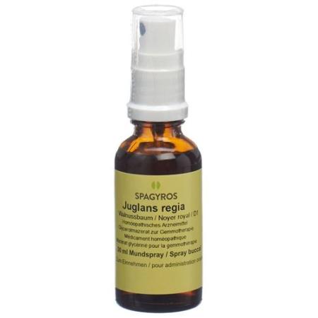Spagyros Gemmo Juglans regia Glyc Maz D 1 30 ml - PrimeCare Global