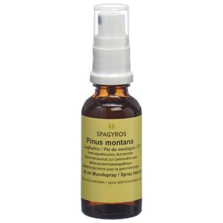 Spagyros Gemmo Pinus montana Glyc Maz D 1 30 ml - PrimeCare Global
