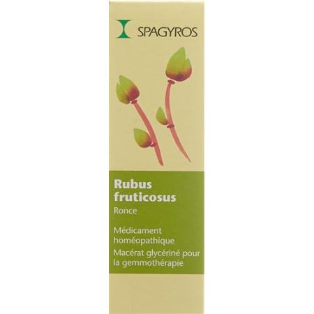 Spagyros Gemmo Rubus fruticosus Glyc Maz D 1 30 ml - PrimeCare Global